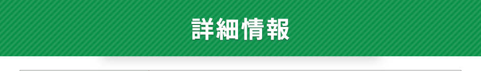 詳細情報
