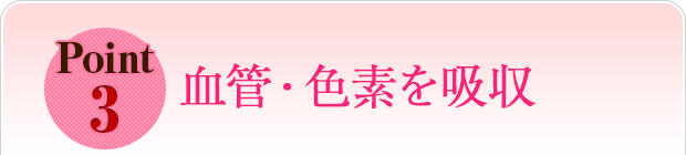 血管・色素を吸収