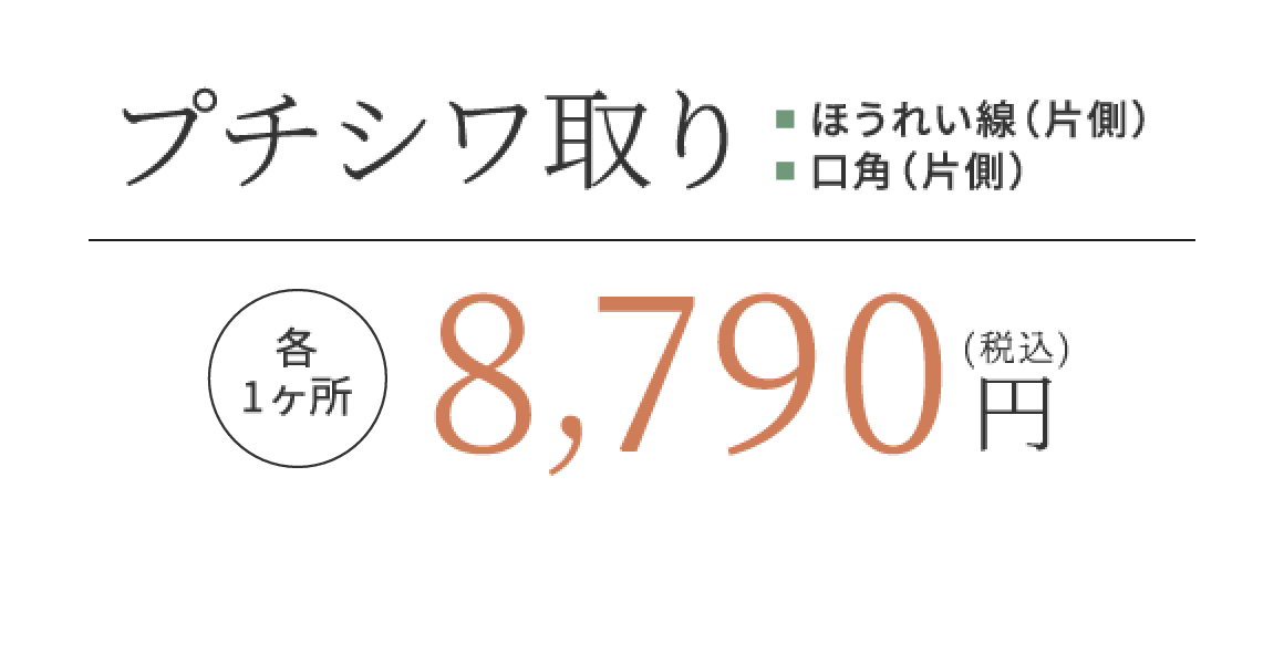 プチシワ取り