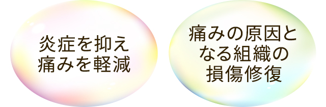 炎症を抑え痛みを軽減。痛みの原因となる組織の損傷修復