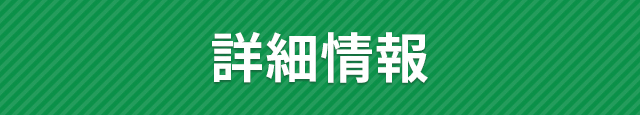 詳細情報