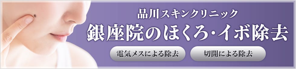 品川スキンクリニック 銀座院のほくろ・イボ除去 電気メスによる除去 切開による除去