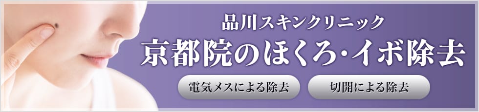 品川スキンクリニック 京都院のほくろ・イボ除去 電気メスによる除去 切開による除去