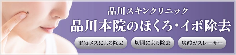 品川スキンクリニック 品川本院のほくろ・イボ除去 電気メスによる除去 切開による除去 炭酸ガスレーザー