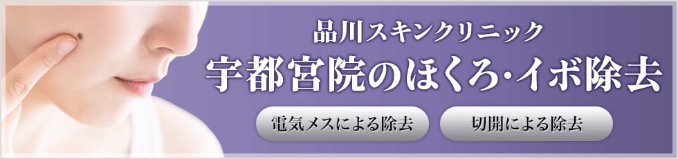 品川スキンクリニック 宇都宮院のほくろ・イボ除去 電気メスによる除去 切開による除去