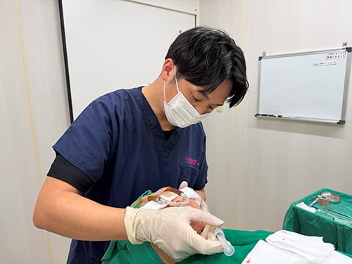 診察の様子