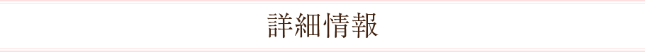 詳細情報