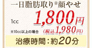 一日脂肪取り顔®痩せ