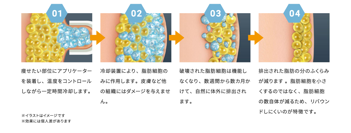 脂肪減少の仕組み