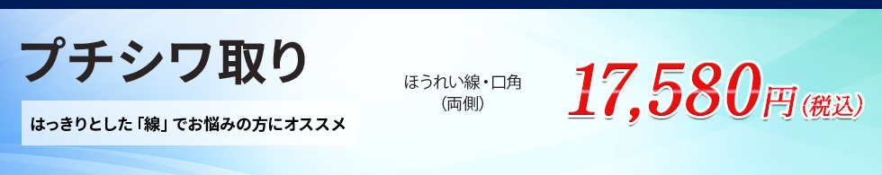 プチシワ取り