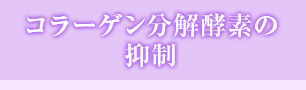 コラーゲン分解酵素の抑制