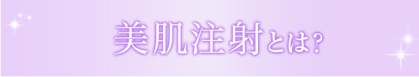 ポラリスとは？