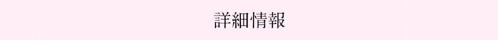 詳細情報