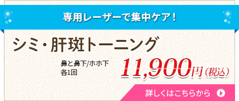フォトシルクプラス