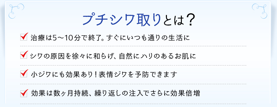 プチシワ取りはこんな方にオススメ