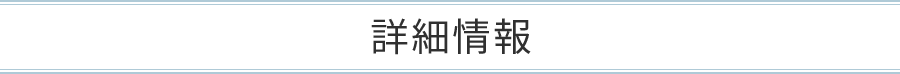 詳細情報