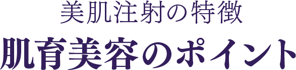 美肌注射の特徴 肌育美容のポイント