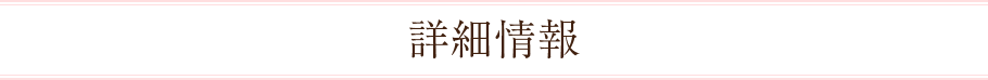 詳細情報