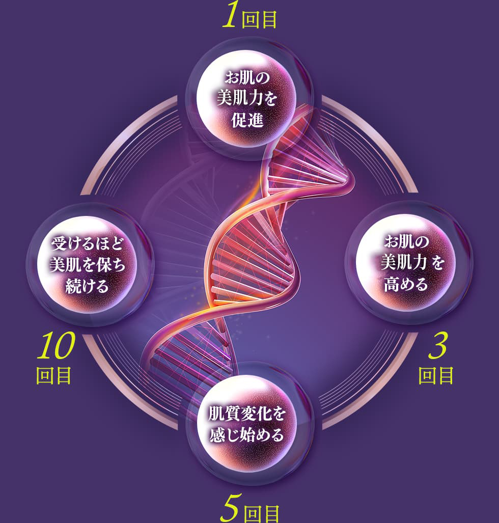 1回目：お肌の再生力を促進 3回目：お肌の細胞再生を高める 5回目：肌質変化を感じ始める 10回目：受けるほど美肌を保ち続ける