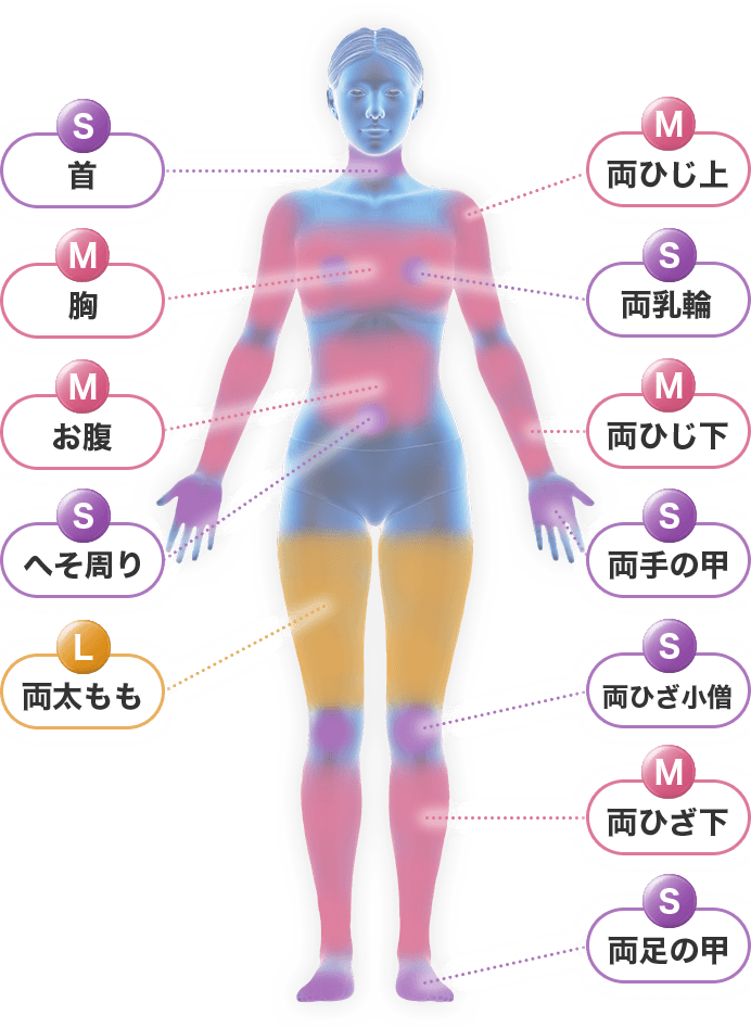 Sパーツ（首・両乳輪・へそ周り・両手の甲・両ひざ小僧・両足の甲） Mパーツ（胸・お腹・両ひじ上・両ひじ下・両ひざ下） Lパーツ（両太もも）