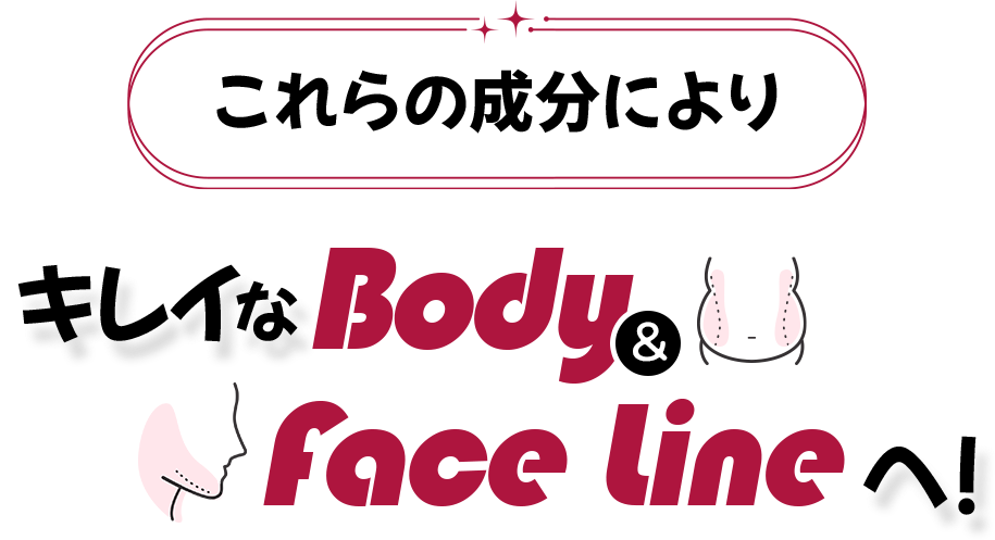 L-これらの成分によりキレイなBody＆Facelineへ！