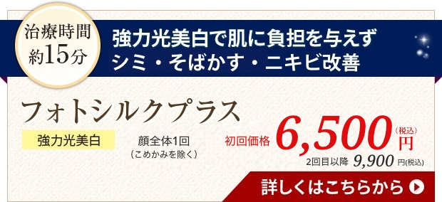 フォトシルクプラス