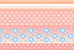 糸は徐々に吸収される