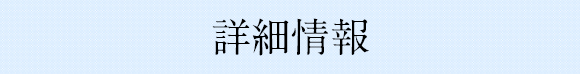 詳細情報