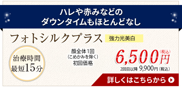 フォトシルクプラス