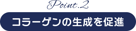 Point.2 コラーゲンの生成を促進