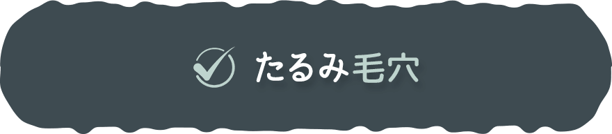 ✓たるみ毛穴