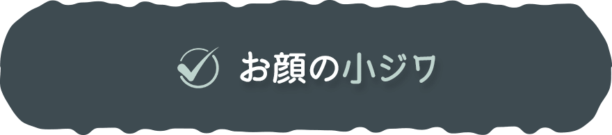 ✓お顔の小ジワ