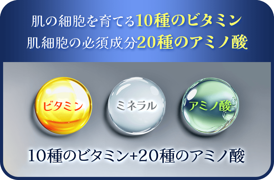 肌の細胞を育てる10種のビタミン 肌細胞の必須成分20種のアミノ酸