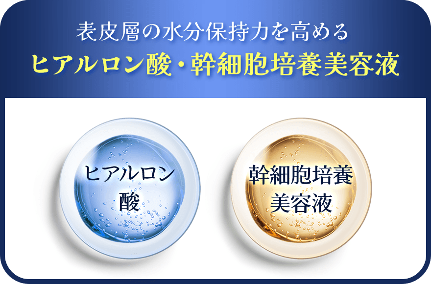 表皮層の水分保持力を高める ヒアルロン酸・幹細胞培養美容液