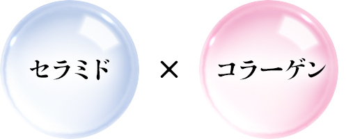 セラミドC×コラーゲン