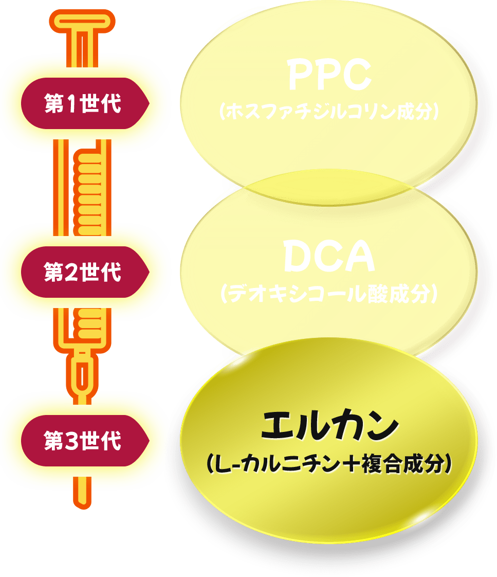 第1世代 PPC（ホスファチジルコリン成分） 第2世代 DCA（デオキシコール酸成分） 第3世代 エルカン（L-カルニチン＋複合成分）