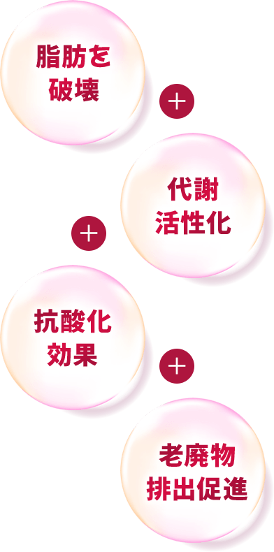 脂肪を破壊＋代謝活性化＋抗酸化効果＋老廃物排出促進