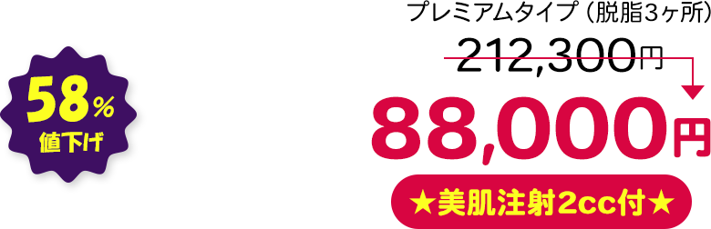 プレミアムタイプ（脱脂3ヶ所） 58％値下げ ★美肌注射2cc付★