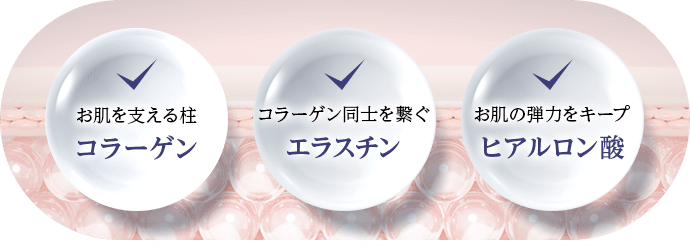 ✓お肌を支える柱 コラーゲン ✓コラーゲン同士を繋ぐ エラスチン ✓お肌の弾力をキープ ヒアルロン酸